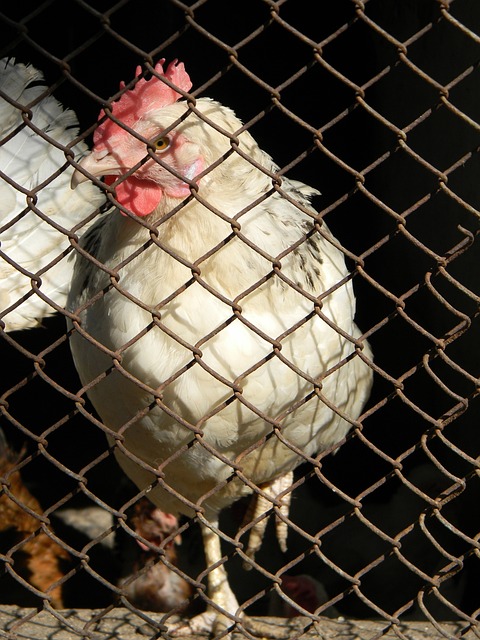 每支球队都 每支球队都