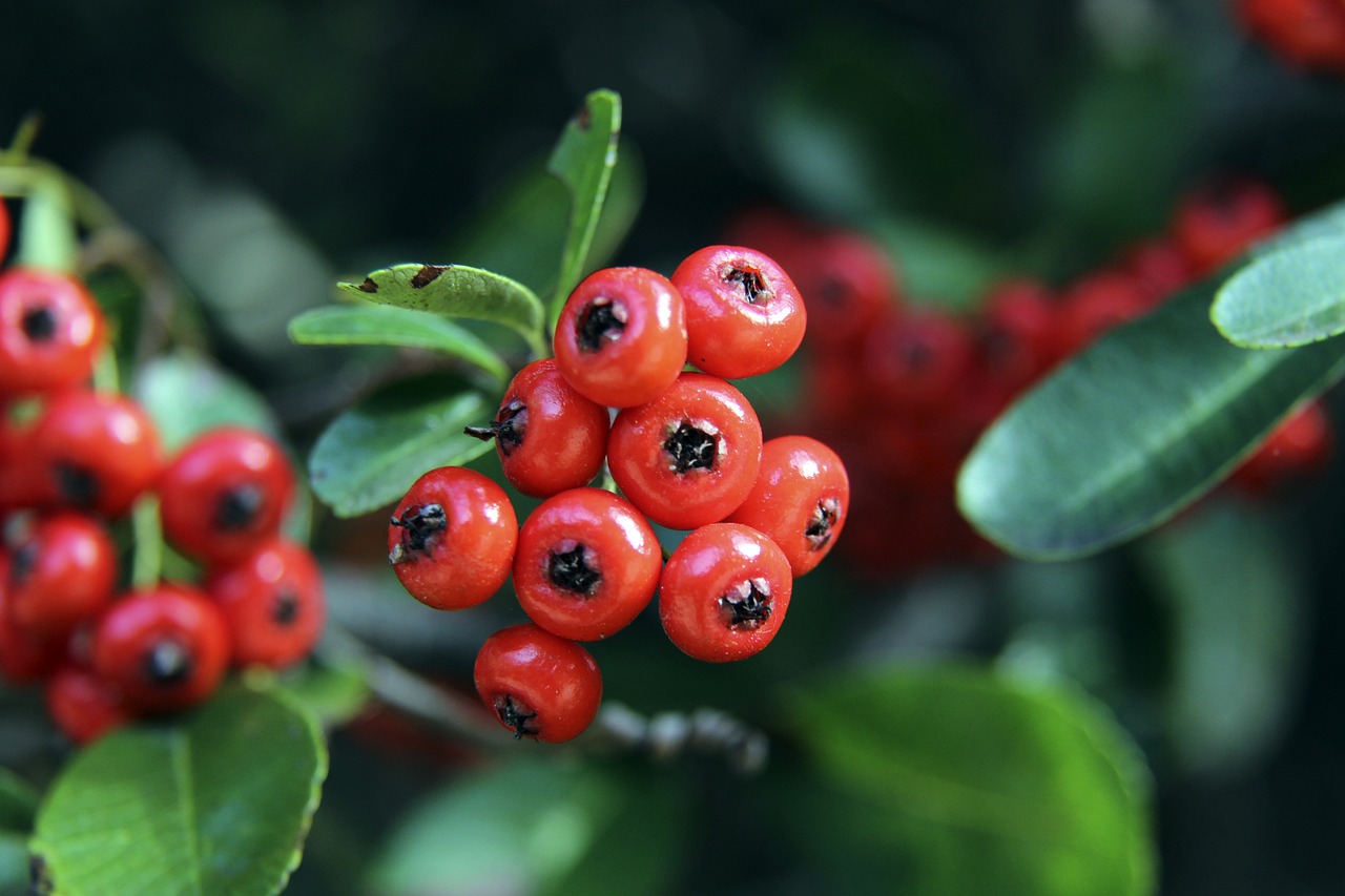 雷霆的成功 雷霆的成功