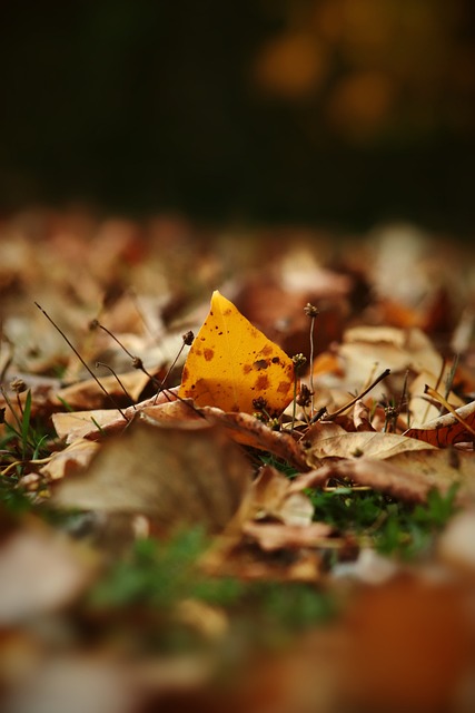 术选择成为 术选择成为