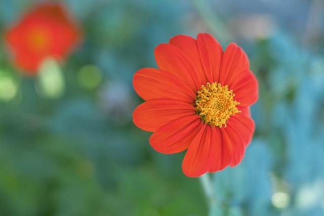 这一趋势进 这一趋势进