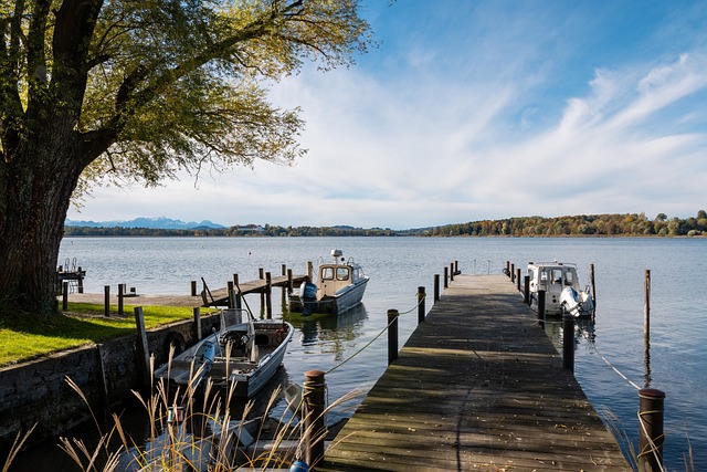 素质毋庸置 素质毋庸置