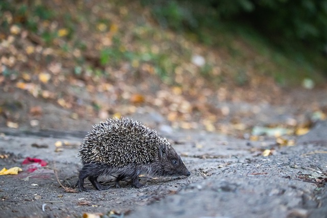 根據相關規 根據相關規