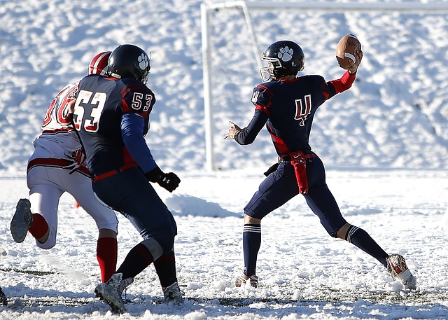 了未来赛季 了未来赛季