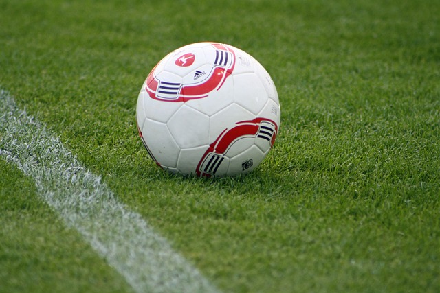双星 双星